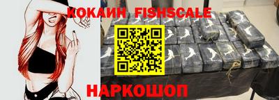 крисы Пенза