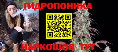 не бодяженный Гай