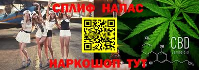 не бодяженный Гай