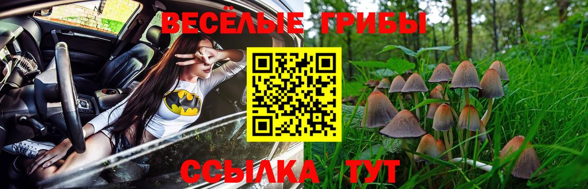 Фурманов  Псилоцибиновые грибы прущие грибы  Вход с VPN 